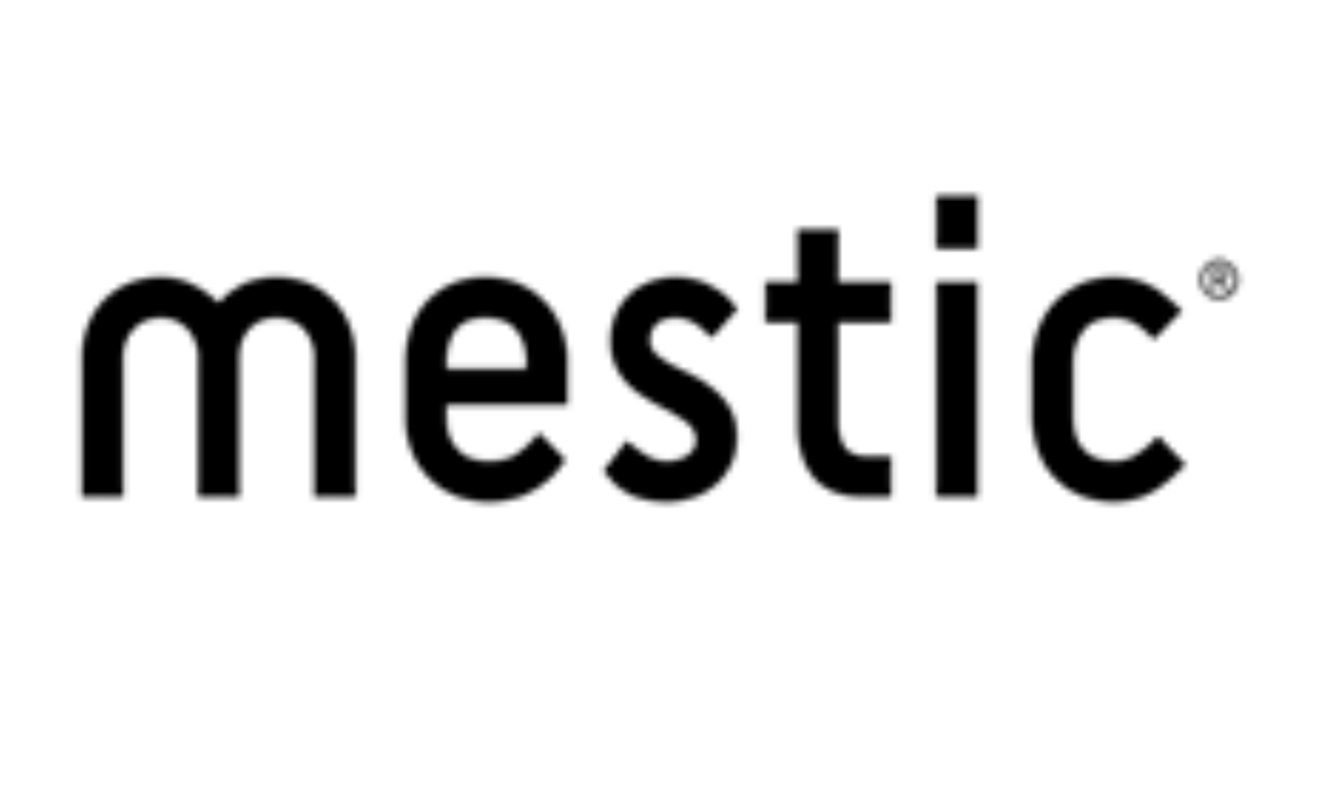 Mestic Brand Logo