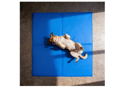 Pet Cool Mat 95 x 80cm (2)