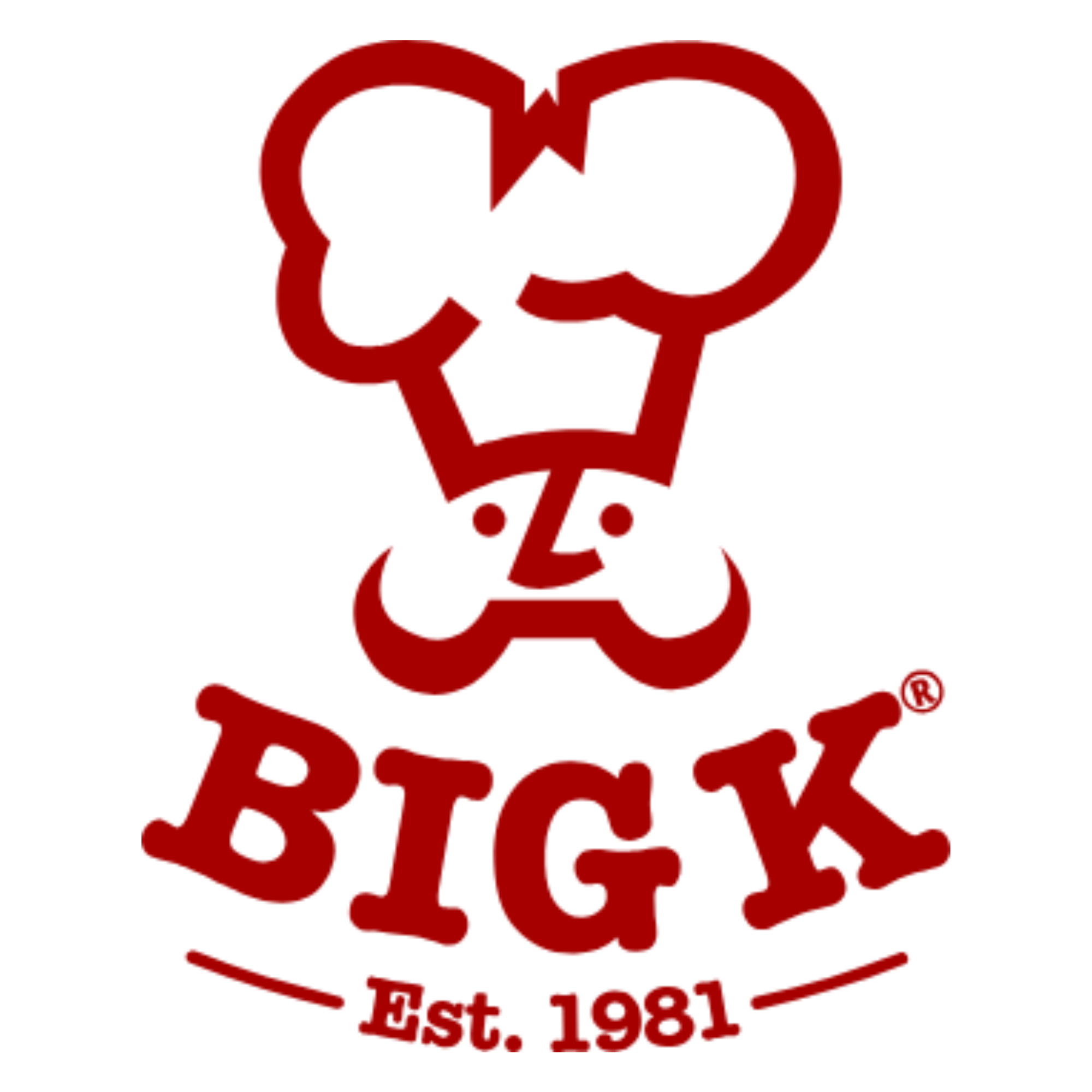 Big K Brand Logo